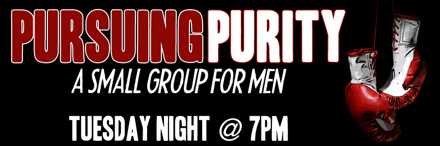 Pursuing Purity Mens' Group